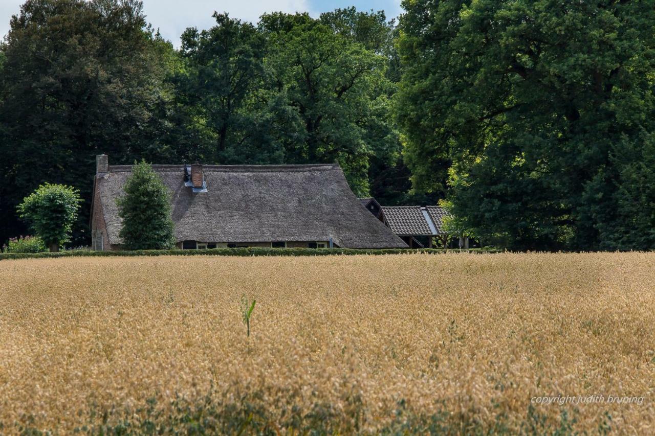 Jelly'S Hoeve (Adults Only) Havelte Экстерьер фото